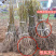 8518核桃苗包成活现挖现卖当年结果南北方种植死苗免费