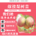 早酥红梨树苗包成活当年结果南北方种植死苗免费补发