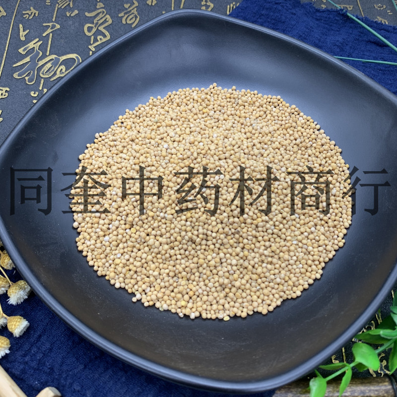 白芥子黄芥子康辰药业量大从优芥末原料