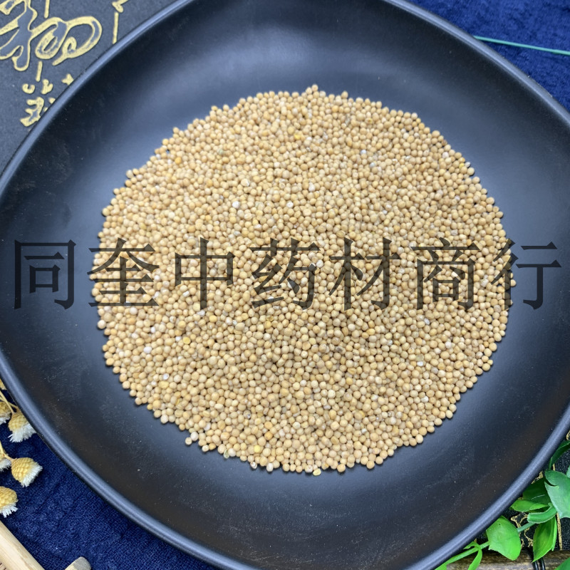 白芥子黄芥子康辰药业量大从优芥末原料