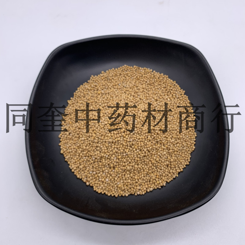 白芥子黄芥子康辰药业量大从优芥末原料