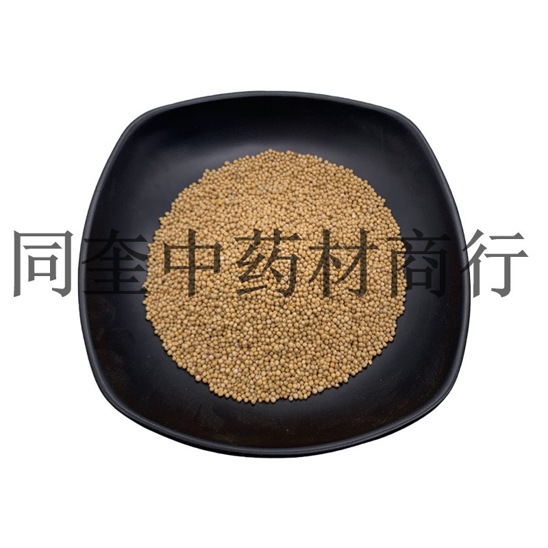 白芥子黄芥子康辰药业量大从优芥末原料