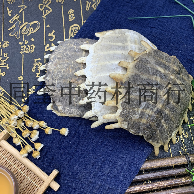 同奎药材鳖甲鳖甲鳖甲甲鱼壳量大从优