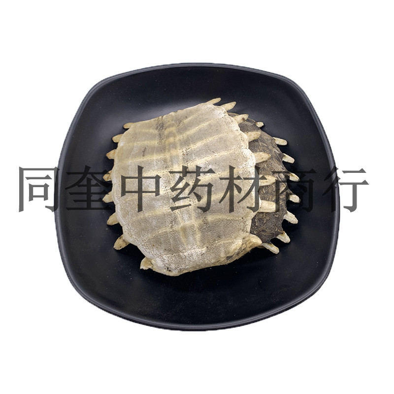 同奎药材鳖甲鳖甲鳖甲甲鱼壳量大从优