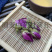 同奎药材玫瑰花量大从优花茶苦水玫瑰花金边玫瑰