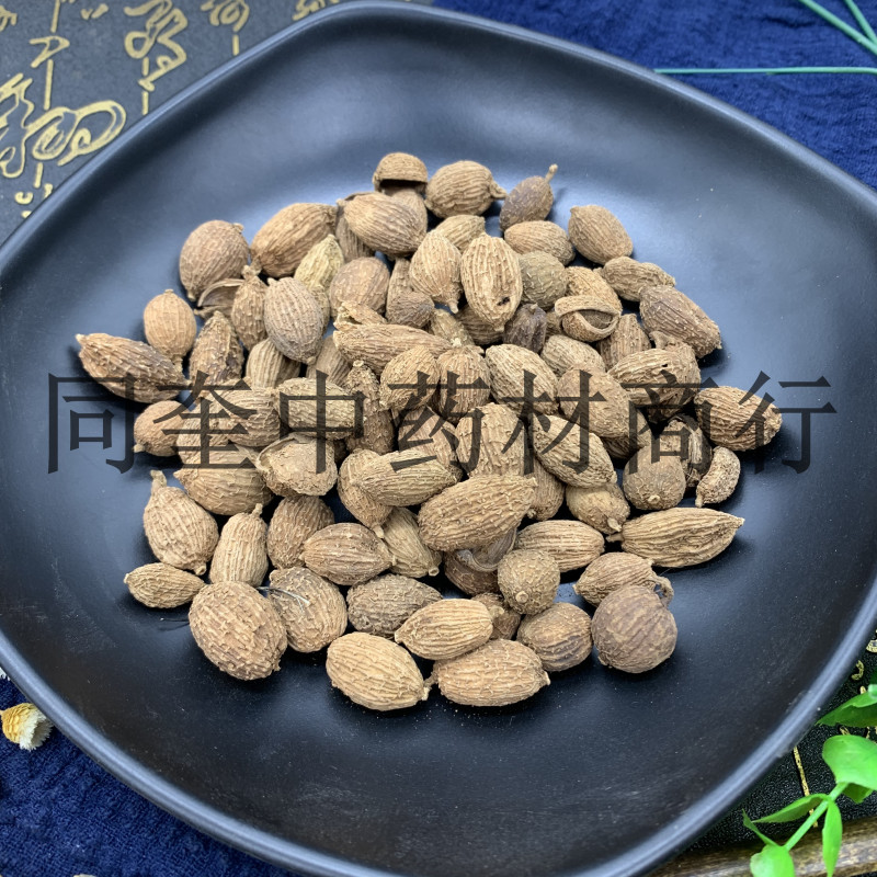 同奎药材进口砂仁阳春砂嫁接产地直销批发各种中药材