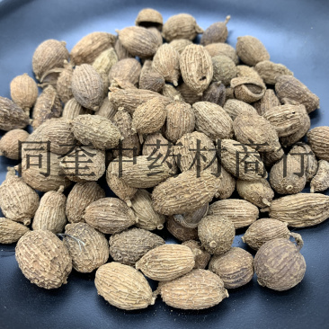 同奎药材进口砂仁阳春砂嫁接产地直销批发各种中药材