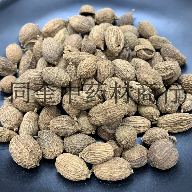 同奎药材进口砂仁阳春砂嫁接产地直销批发各种中药材