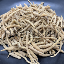太子参无硫太子参康辰药业量大从优批发各种中药材