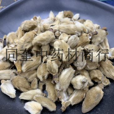 同奎药材辛夷花诚信合作物美价廉