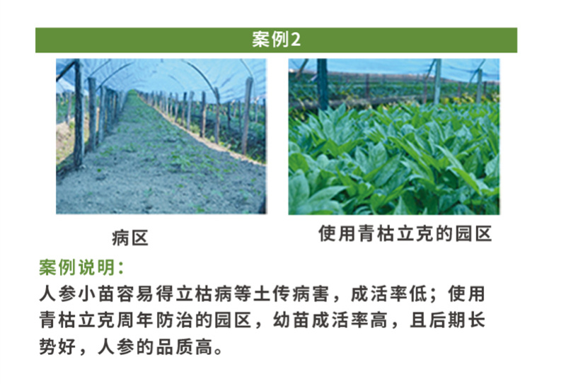 0.5%小檗碱青枯立克专治樱桃根腐病茎基腐病黄化死树包邮