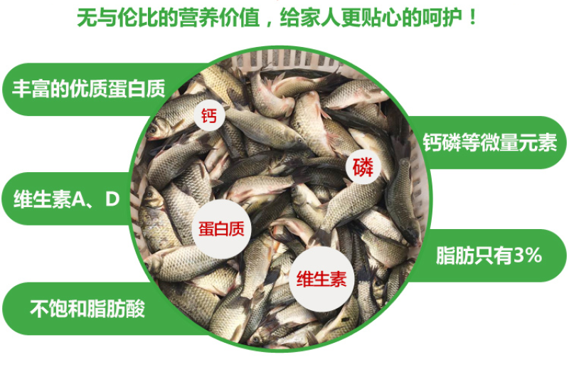 [一件代发][微商电商]2斤装水库大鲫鱼红烧炖汤孕妇小孩