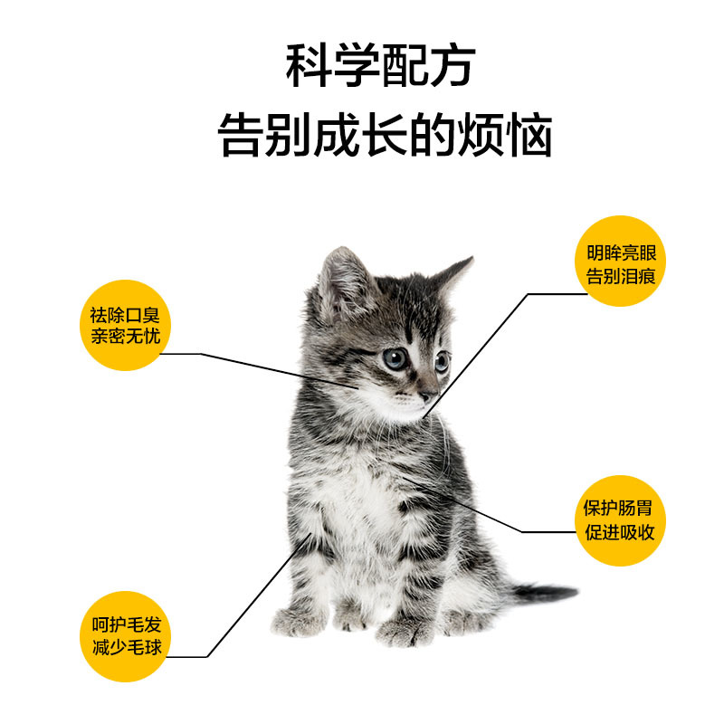 赣心猫粮5kg10斤装猫舍实体店量大来谈