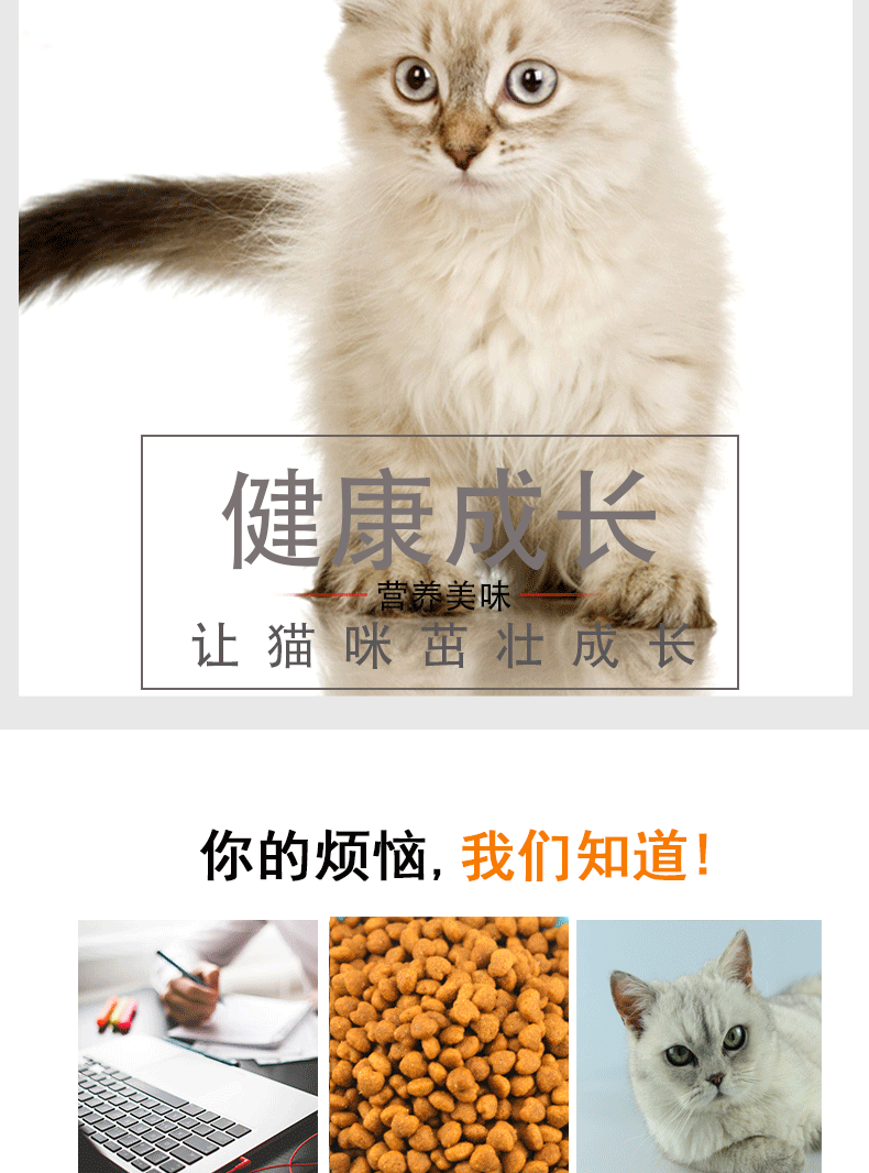 赣心猫粮5kg10斤装猫舍实体店量大来谈