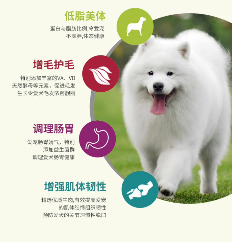 雅顿狗粮2.5kg5斤装全犬种通用狗粮坚果奶酪粮