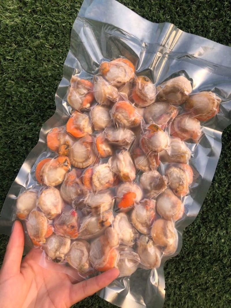 特大扇贝肉！一袋一斤45个左右！个大肉肥