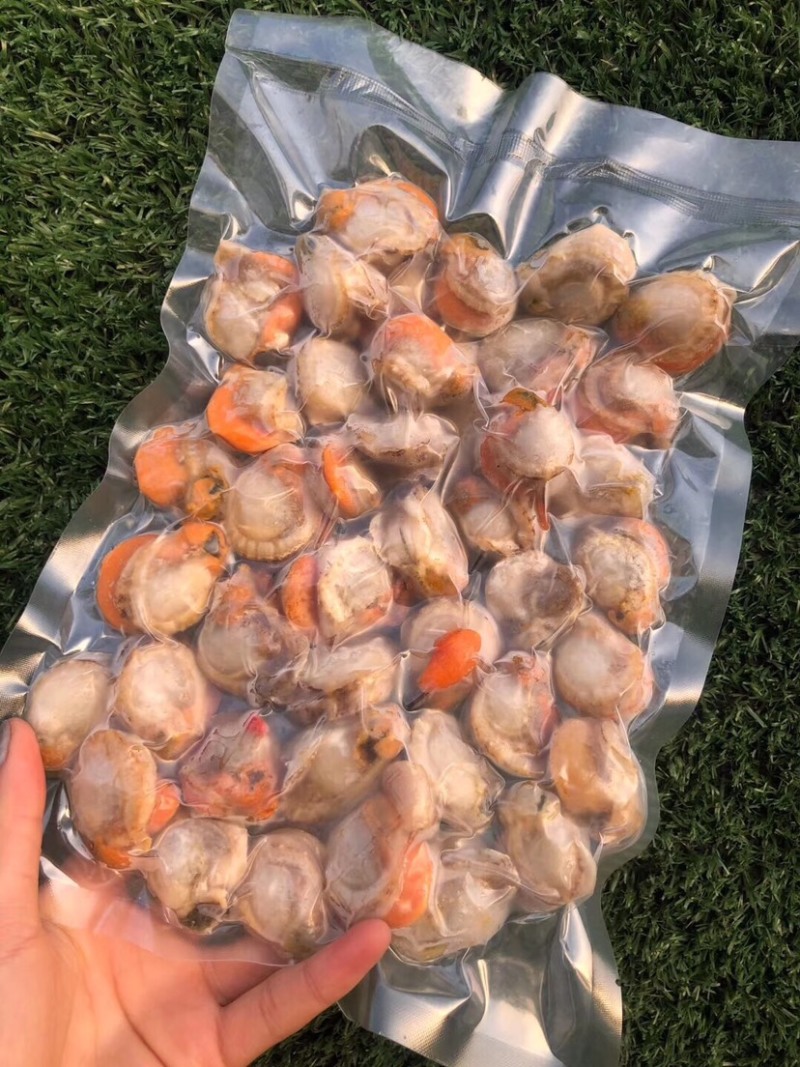 特大扇贝肉！一袋一斤45个左右！个大肉肥