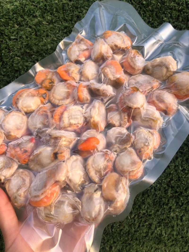 特大扇贝肉！一袋一斤45个左右！个大肉肥