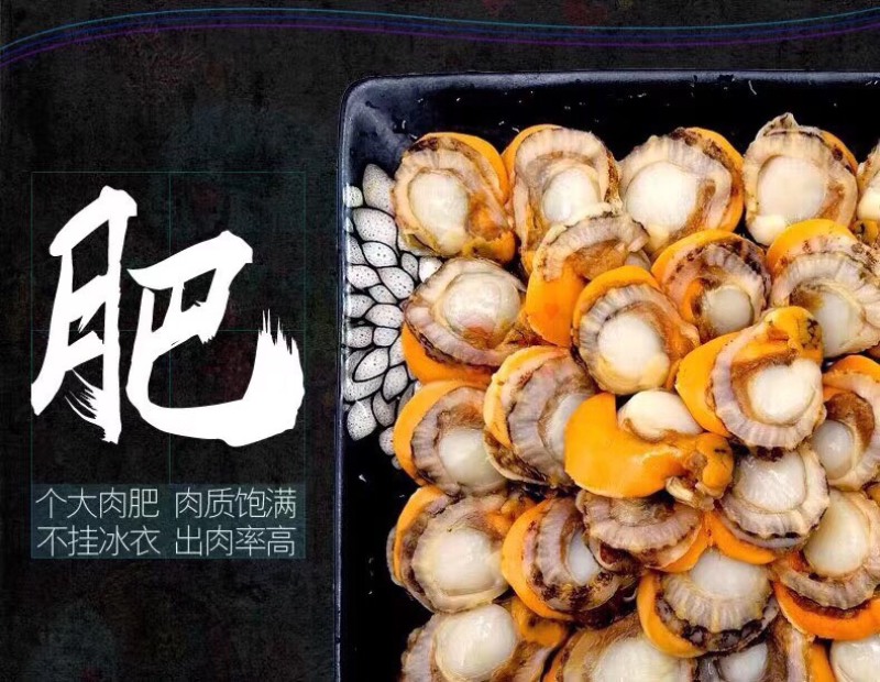 特大扇贝肉！一袋一斤45个左右！个大肉肥