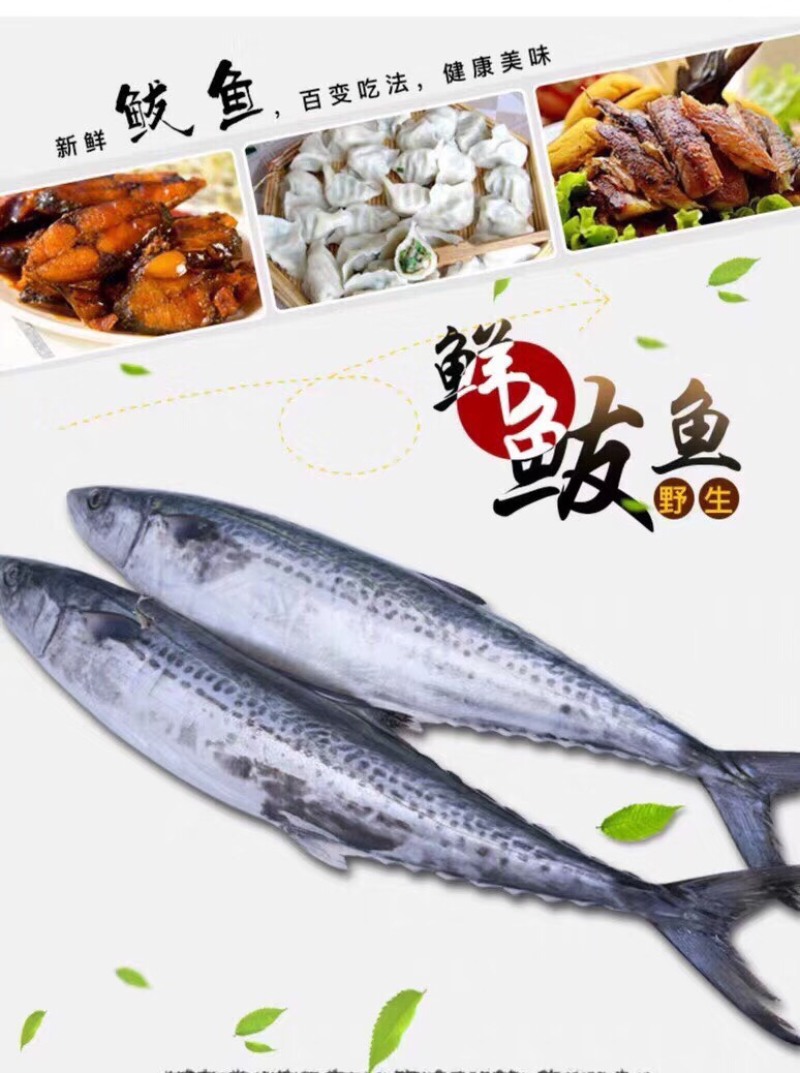 大鲅鱼！单条1.5-2斤左右！一件十斤！