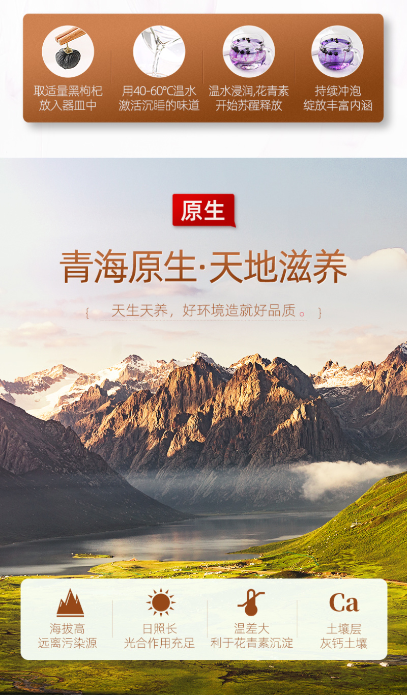 大果黑枸杞野生正品青海枸杞子（包邮）除偏远地区除外