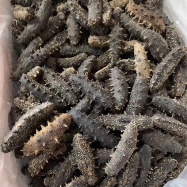 适合长期食用的一款淡干海参