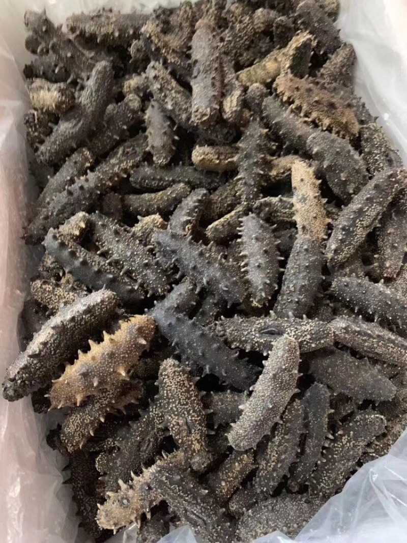 适合长期食用的一款淡干海参