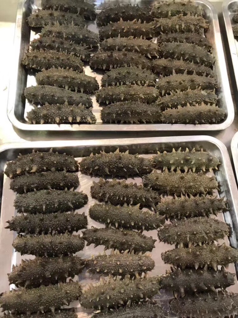 适合长期食用的一款淡干海参