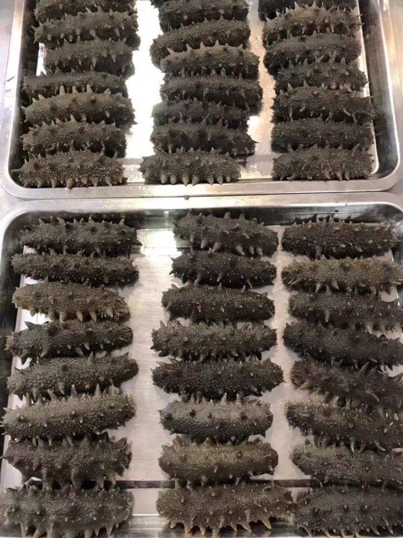 适合长期食用的一款淡干海参