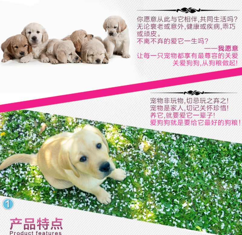 通用型成犬狗粮金毛拉布拉多马犬狼青流浪狗20kg40斤犬