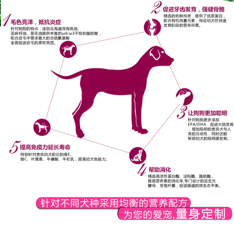 通用型成犬狗粮金毛拉布拉多马犬狼青流浪狗20kg40斤犬