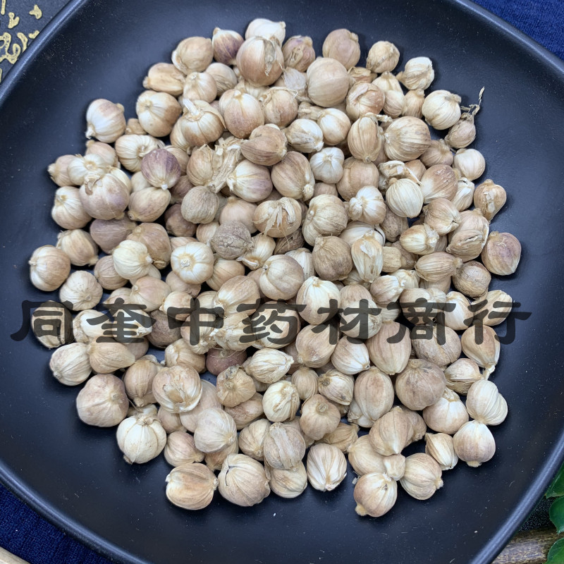 白豆蔻白蔻白叩香辛料大料产地直销一手货源批发各种中药