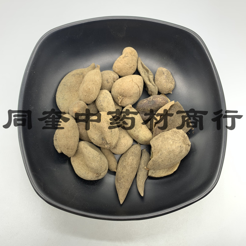五倍子花倍元宝倍康辰药业批发各种中药材