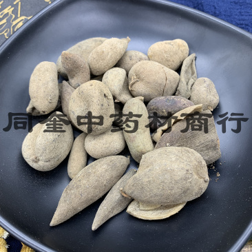 五倍子花倍元宝倍康辰药业批发各种中药材