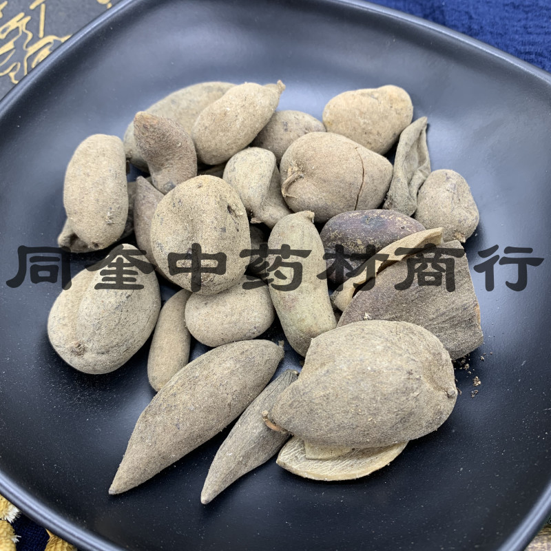 五倍子花倍元宝倍康辰药业批发各种中药材