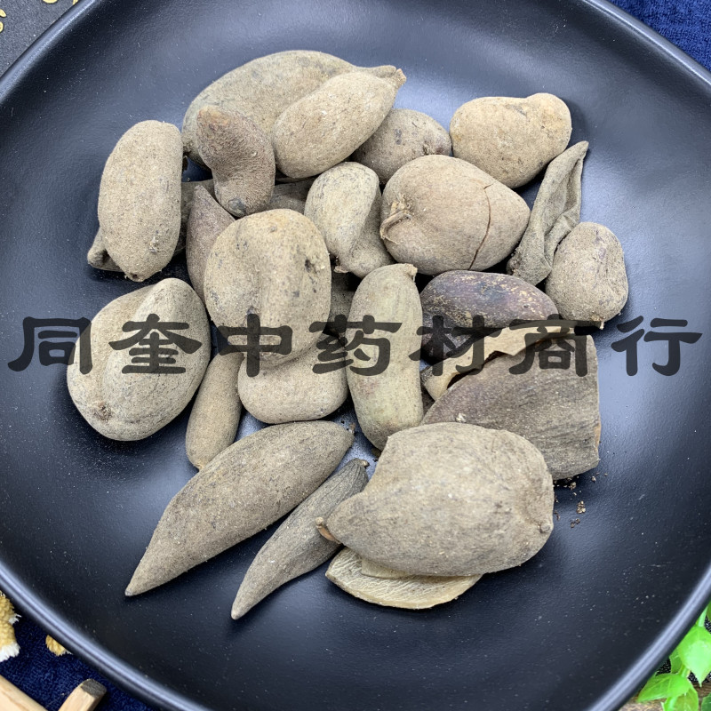 五倍子花倍元宝倍康辰药业批发各种中药材
