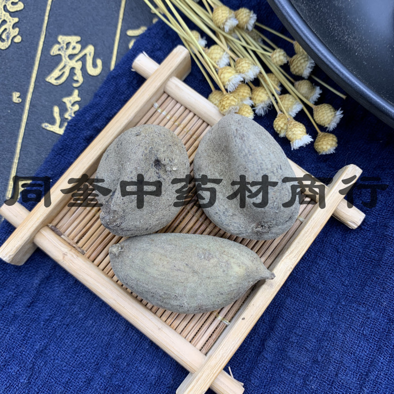 五倍子花倍元宝倍康辰药业批发各种中药材