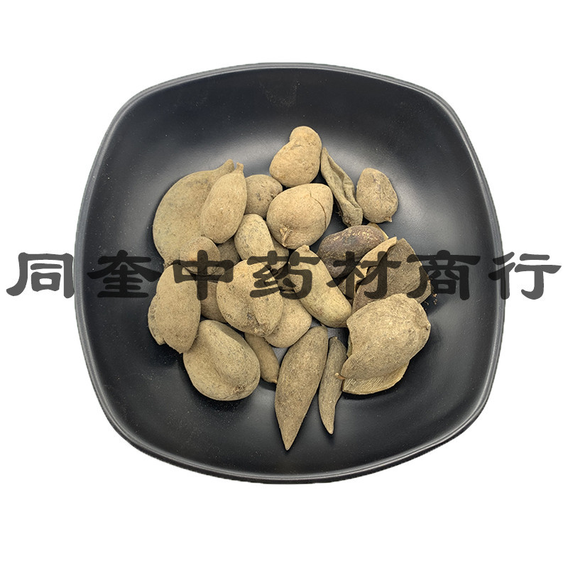 五倍子花倍元宝倍康辰药业批发各种中药材