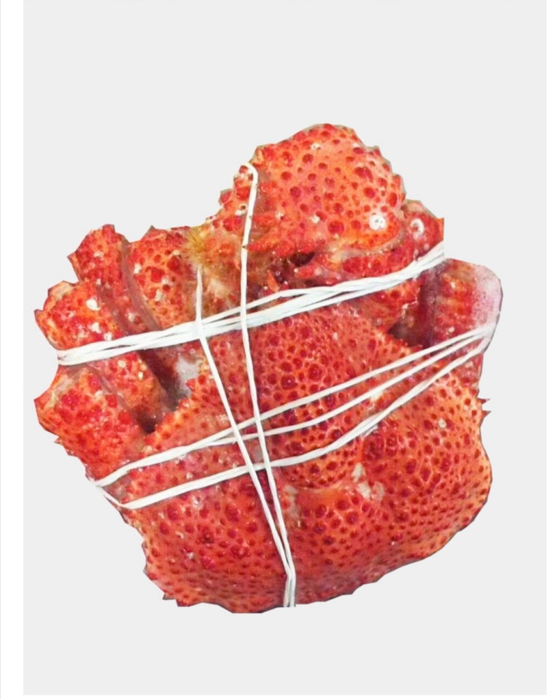 智利熟冻鳕蟹皮匠蟹皇后蟹批发