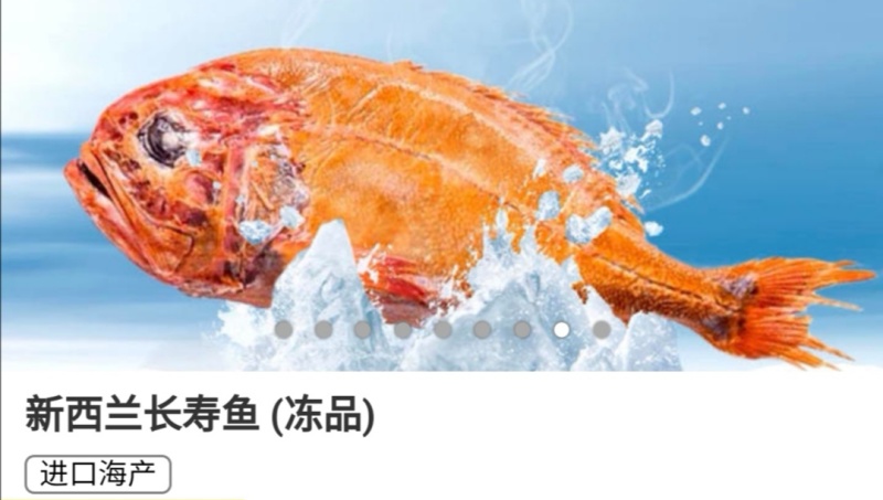 长寿鱼橙鲷鱼、橙棘鲷批发