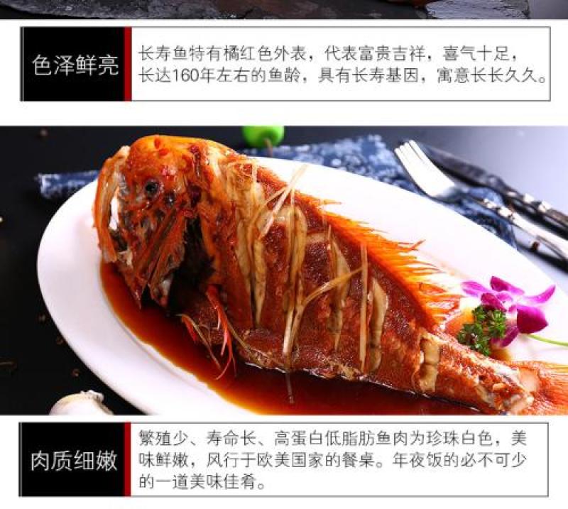 长寿鱼橙鲷鱼、橙棘鲷批发