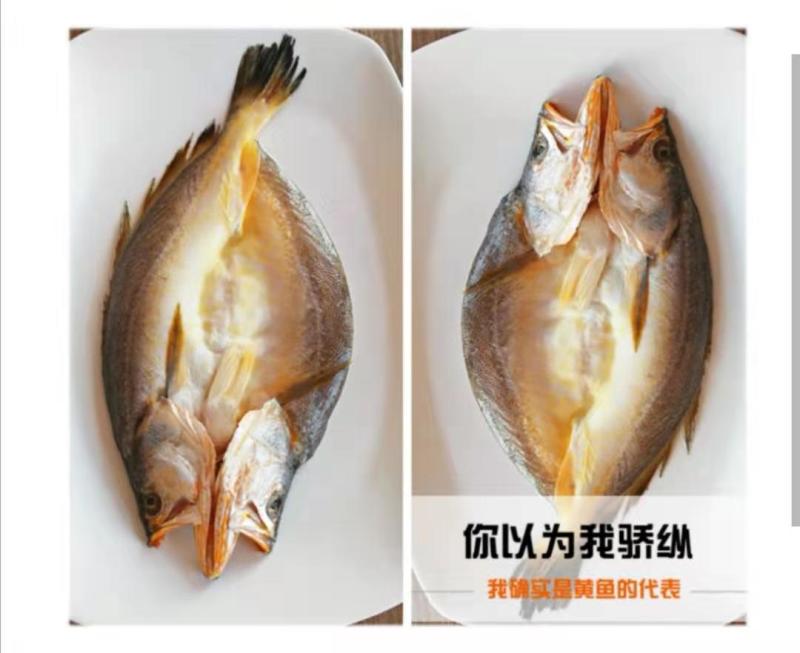 印度冰川黄鱼黄花鱼批发