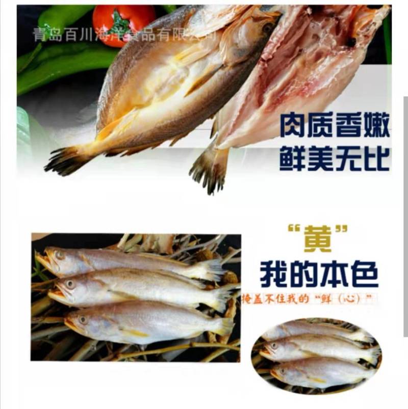印度冰川黄鱼黄花鱼批发