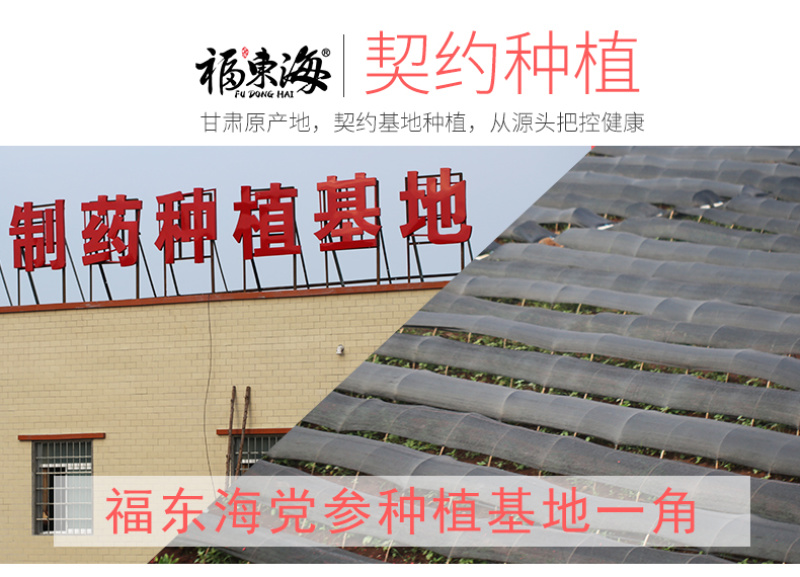 福东海党参甘肃党参无硫土党参片党参条党参节包邮