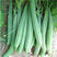 广东八棱棱角丝瓜种子泰国原种产量高棱角丝种