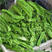 四棱豆种子杨桃豆四角豆翼豆种子种植容易春夏秋播种健蔬