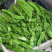 四棱豆种子杨桃豆四角豆翼豆种子种植容易春夏秋播种健蔬