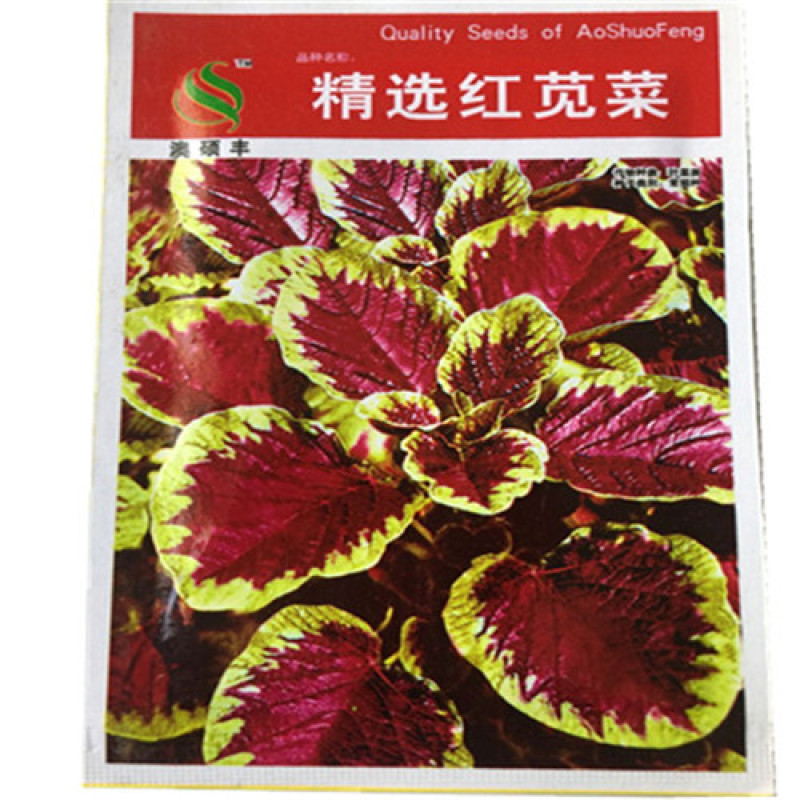 花红苋菜种子圆叶苋菜籽全红苋菜春秋冬四季播种蔬菜抗寒易