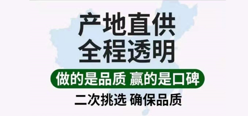 广西砂糖橘现摘现发蜜桔超级甜原产地直供