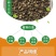 锦葵种子耐寒耐旱多年生花卉种子景观绿化庭院种植